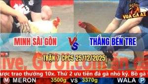 Trận 7 CPC5 25/12/2025 - Bướm Đá Đúng Chân Điều Anh Thắng Chạy Bay Bồ