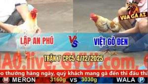Trận 7 CPC5 4/12/2025 - Gà Bướm Anh Lập Nuốt Ói Đâm Gà Cú Lật Xe