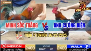 Trận 7 TonHon 26/12/2025 - 1 Đá Anh Minh Gom Phiếu Lụm Gần Nữa Tỷ