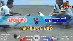 Trận 7 Xà Xía 29/12/2025 - Gà Chuối Anh Sa Thấm Tang Vô Bảng Bỏ Đi