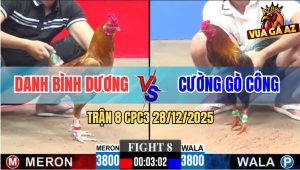Trận 8 CPC3 28/12/2025 - Vàng Chân Trăng Anh Danh Dỡ Giò Là Có Kết Quả