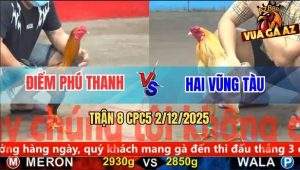 Trận 8 CPC5 3/12/2025 - Bướm Anh Hai Vũng Tàu Đâm Điều Chạy Bay Bồ