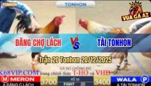 Trận 20 Tonhon 20/12/2025