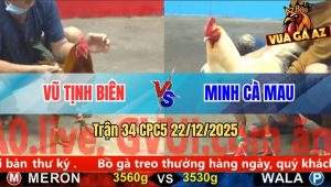 Trận 33 CPC5 22/12/2025