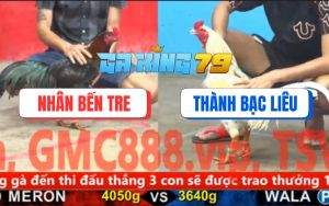 Trận 9 CPC5 6/12/2025 - Bướm Anh Thành Nhỏ Mà Cáp Ngông, 1 Đá Nằm Đống