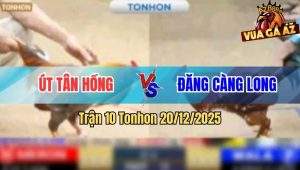 Trận 10 Tonhon 20/12/2025