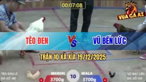 Trận 10 Xà Xía 19/12/2025