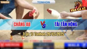 Trận 13 Tonhon 20/12/2025