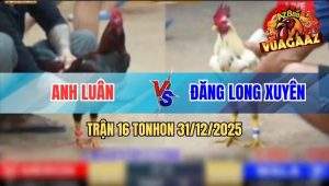 Trận 16 Tonhon 31/12/2025