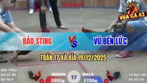 Trận 17 Xà Xía 19/12/2025