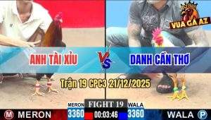 Trận 19 CPC3 21/12/2025