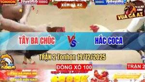 Trận 2 Tonhon 19/12/2025