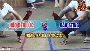 Trận 2 Xà Xía 19/12/2025