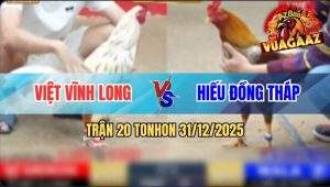 Trận 20 Tonhon 31/12/2025