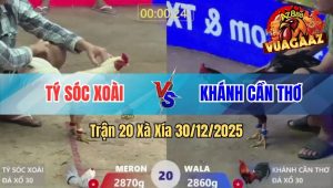 Trận 20 Xà Xía 30/12/2025