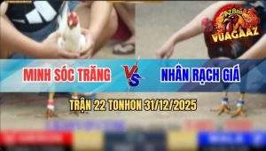 Trận 22 Tonhon 31/12/2025