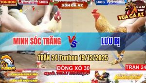 Trận 24 Tonhon 19/12/2025