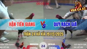 Trận 24 Xà Xía 19/12/2025