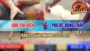 Trận 25 Tonhon 31/12/2025
