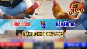 Trận 3 Tonhon 20/12/2025