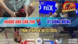 Trận 31 Xà Xía 30/12/2025
