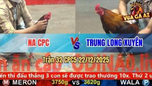 Trận 32 CPC5 22/12/2025