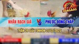Trận 39 Tonhon 31/12/2025