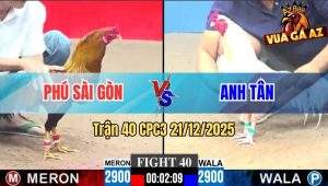 Trận 40 CPC3 21/12/2025