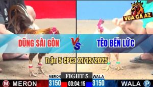 Trận 5 CPC3 21/12/2025