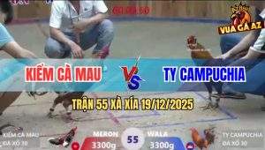 Trận 55 Xà Xía 19/12/2025