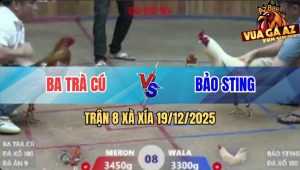 Trận 8 Xà Xía 19/12/2025
