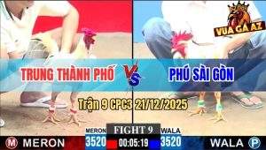 Trận 9 CPC3 21/12/2025