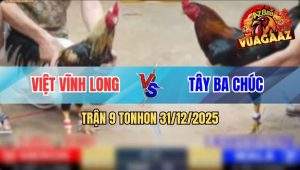 Trận 9 Tonhon 31/12/2025