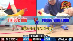 Trận 1 CPC3 29/1/2026 - Cú Cọp Anh Bé Khai Màn Đá Gà Khét Kêu Oác Oác