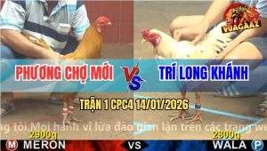 Trận 1 CPC4 14/1/2026 - Khét Anh Phương Vô Trong Gồng Đá Bướm Gục Đầu