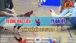 Trận 1 Xà Xía 13/1/2026 - Điều Chân Trắng Đâm Thủng Lưng Gà Bướm