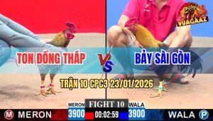Trận 10 CPC3 23/1/2026 - Tài Nghệ Anh Thắng Le Cũng Phải Chào Thua