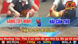Trận 10 CPC5 28/1/2026 - Khét Sữa Đá Vàng Anh Sang Đâp Cánh Giãy Chết