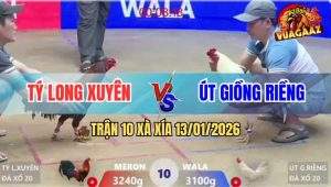 Trận 10 Xà Xía 13/1/2026 - Điều Cuốn Vô Đâm Úa Đập Cánh Giãy Chết