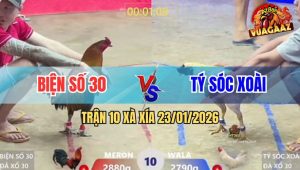 Trận 10 Xà Xía 23/1/2026 - Que Cuốn Vô Đá Bướm Cây Cần Tử Vong Tại Chỗ