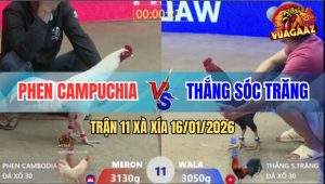 Trận 11 Xà Xía 16/1/2026 - Điều Đá Quá Nghiệt Úa Gục Ngã Tại Chỗ