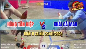 Trận 11 Xà Xía 23/1/2026 - Anh Hùng Và Anh khải Bất Phân Thắng Bại