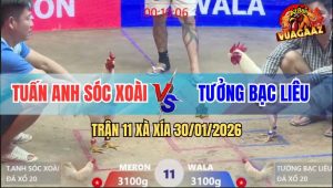 Trận 11 Xà Xía 30/1/2026 - Úa Hiệu Anh Kiểm Phóng Bạc, Bị Đá Bể Hộp Số