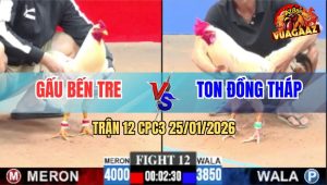 Trận 12 CPC3 25/1/2026 - Bướm Hiệu Anh Ton Đá Gà Anh Gấu Chạy La Làng
