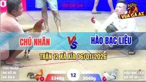 Trận 12 Xà Xía 6/1/2026 - Điều Chú Nhân Đá Như Máy Ủi Bướm Tốc Chạy