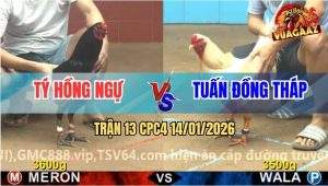 Trận 13 CPC4 14/1/2026 - Ô Ước Đá Bướm Nát Gáo Khi Chưa Kịp Nhấc Chân