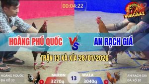 Trận 13 Xà Xía 28/1/2026 - Khét Bao Bồ Bị Gà Chuối Săm Mình Như Cái Rổ