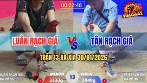 Trận 13 Xà Xía 30/1/2026 - Kiểm Cà Mau Chấp Ngông Và Cái Kết Đắng Lòng
