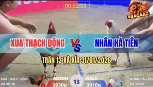 Trận 13 Xà Xía 31/1/2026 - Bướm Hít Vô Đâm Que 1 Chân Lấy Tiền Mau Lẹ