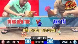 Trận 15 CPC3 11/1/2026 - Một Đá Chốt Sổ Gà Cú Không Kịp Ngáp